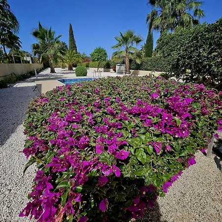 Modern 3 Bedroom Villa, Pool And Close To Golf Course Villa