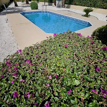 Modern 3 Bedroom Villa, Pool And Close To Golf Course Villa Paphos