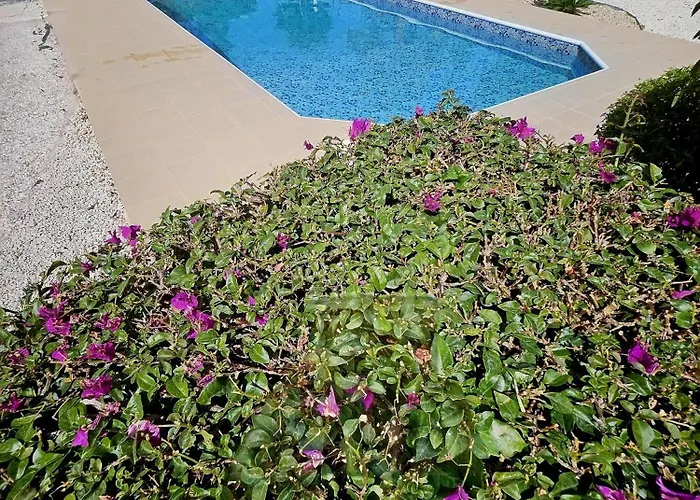 Modern 3 Bedroom Villa, Pool And Close To Golf Course Вилла Пафос